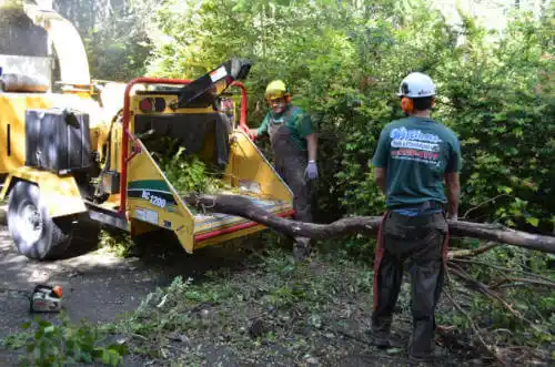 tree services Headland